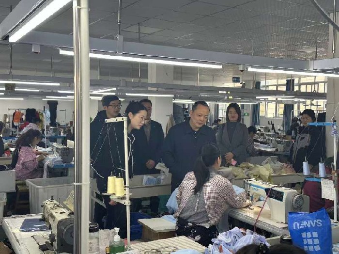 安庆市残联赴各县（市）区督查残疾人工作